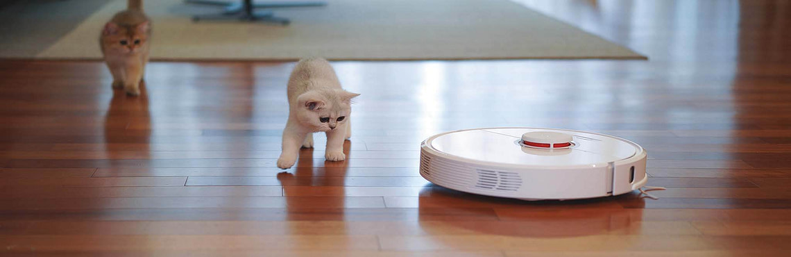 What Is the Difference Between Artificial Intelligence and Machine Learning?