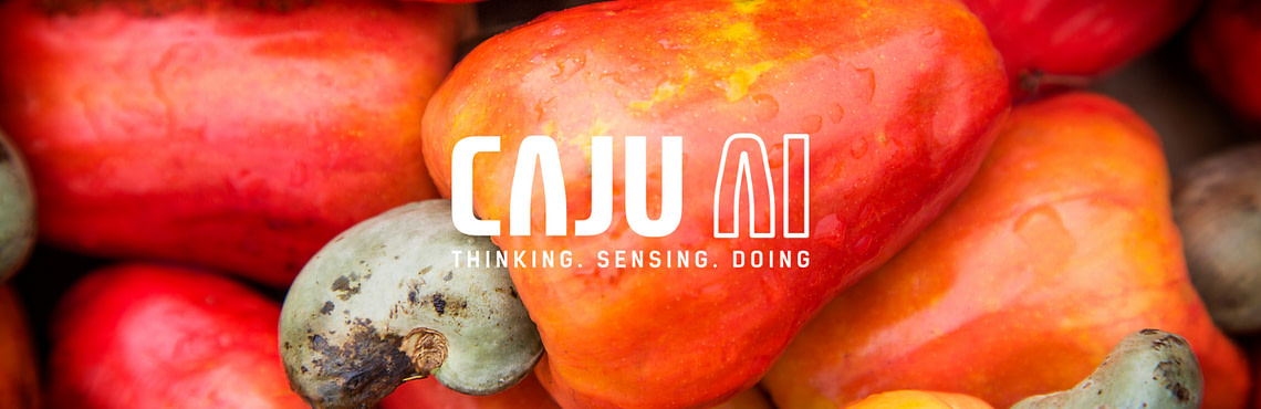 Caju AI: Redefining the Nature of Customer Interactions With Generative AI