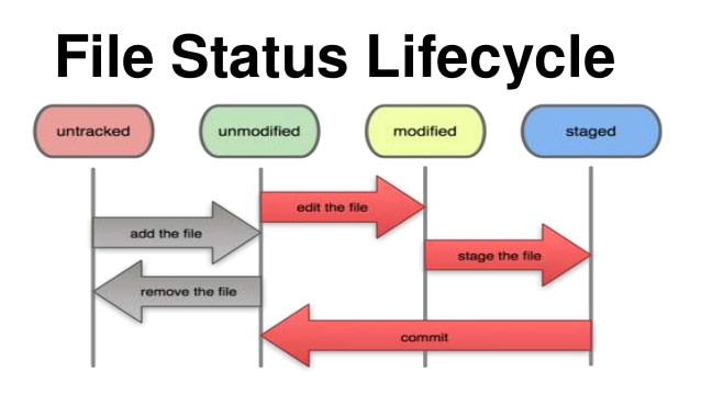 file status lifecycle